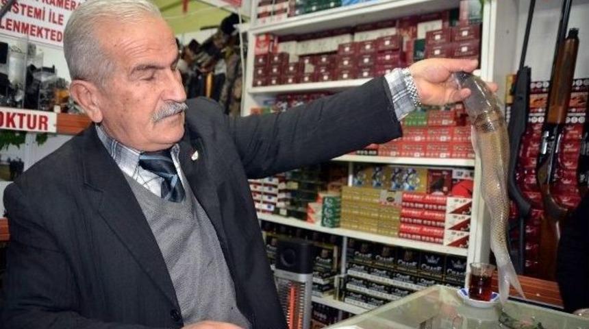 Jenerat&ouml;rle Balık Avlanılmasına Tepki