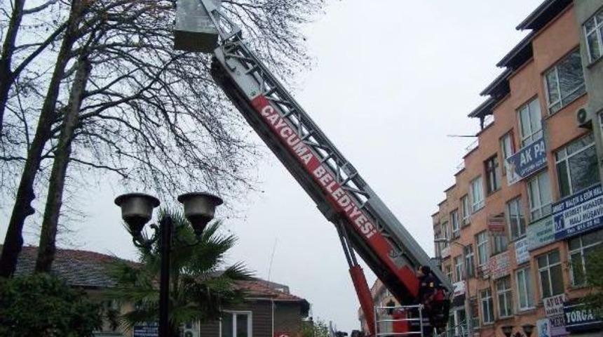 Ağa&ccedil;ta Mahsur Kalan Kargayı İtfaiye Kurtardı