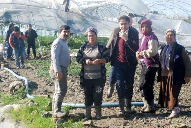 Samandağ'da Hortum Seraları Yıktı