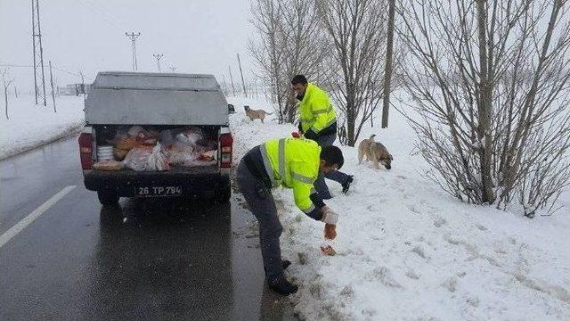 Sokak Hayvanları İ&ccedil;in Tepebaşı&rsquo;ndan &Ouml;zel Ekip 1