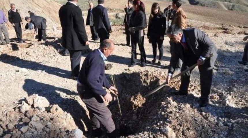 Tut İl&ccedil;esinde İkince Etap Dut Fidanı Dikimi Ger&ccedil;ekleştirildi