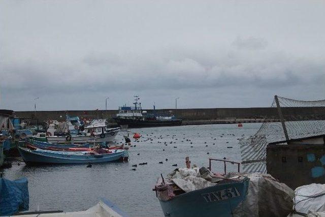 Trabzon’da Olumsuz Hava Şartları Nedeniyle Balıkçılar Denize Açılamadı