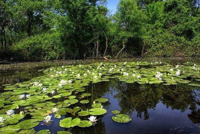 Saklı Cennet Belgesel Oldu 1