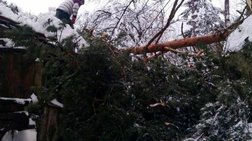 Kastamonu&rsquo;da Bir Evin &Uuml;zerine Ağa&ccedil; Devrildi