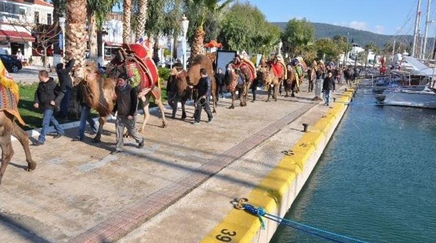 Bodrum Deve G&uuml;reşi Festivali Kortej İle Başladı