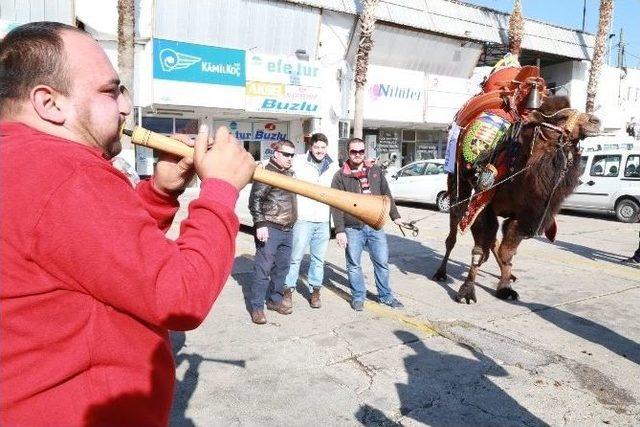 Bodrum Deve Güreşi Festivali Kortej İle Başladı