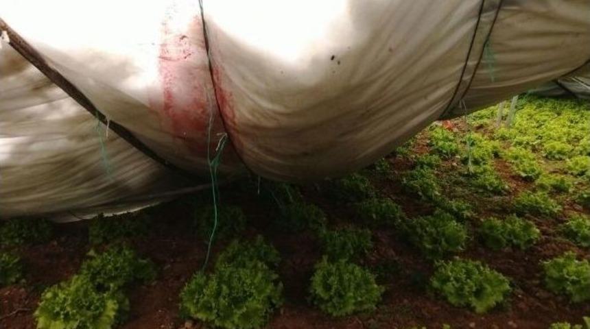 Kar Yağışı Sarıcakaya&rsquo;da Seralara B&uuml;y&uuml;k Zarar Verdi