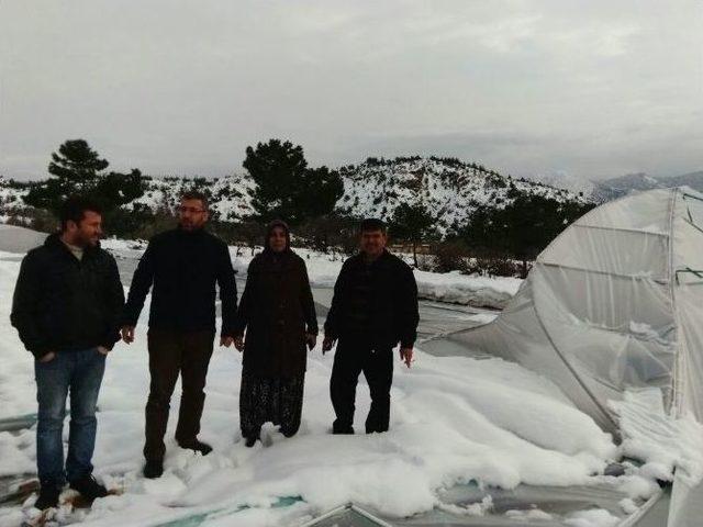 Kar Yağışı Sarıcakaya’da Seralara Büyük Zarar Verdi