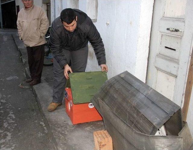 Bartın&rsquo;daki Sokak Hayvanları Evlerine Kavuştu 1