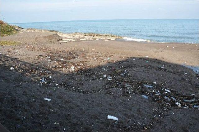 Dalgalar Sahilleri Yine &Ccedil;&ouml;pl&uuml;ğe &Ccedil;evirdi 2