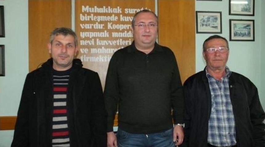 Burhaniye&rsquo;de Tariş Zeytin Alım Rekoru Kırdı