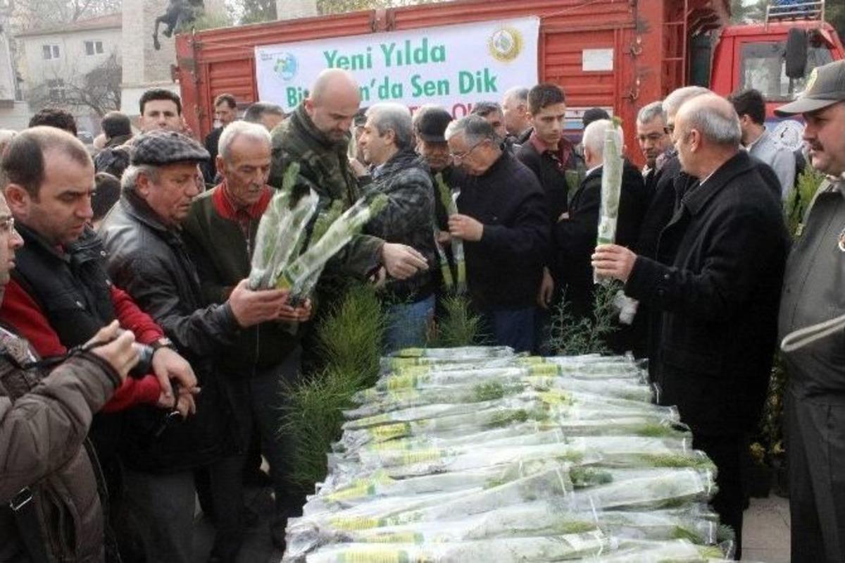 Denizli&rsquo;de Bedava Fidan İzdihamı