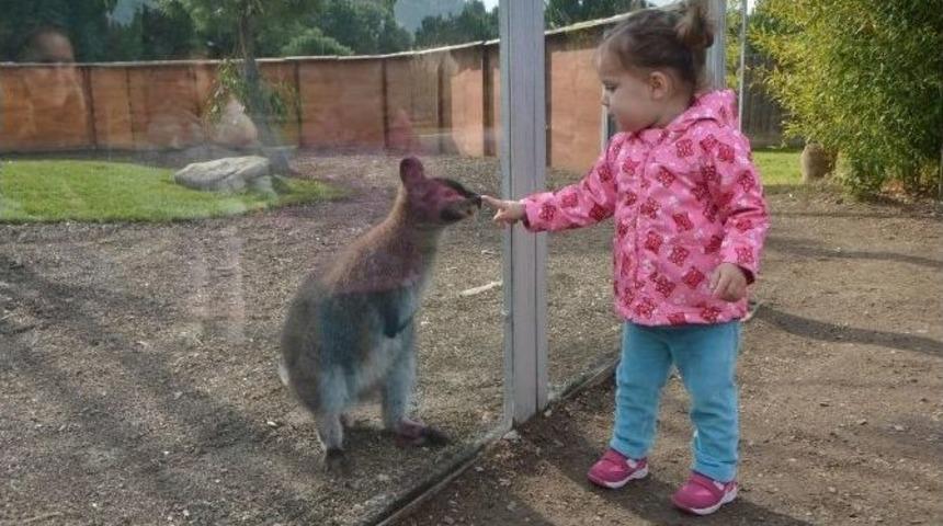 İzmir Doğal Yaşam Parkı, Bir Yılda 61 İle Geride Bıraktı