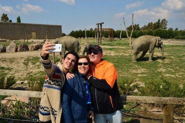 İzmir Doğal Yaşam Parkı, Bir Yılda 61 İle Geride Bıraktı 3