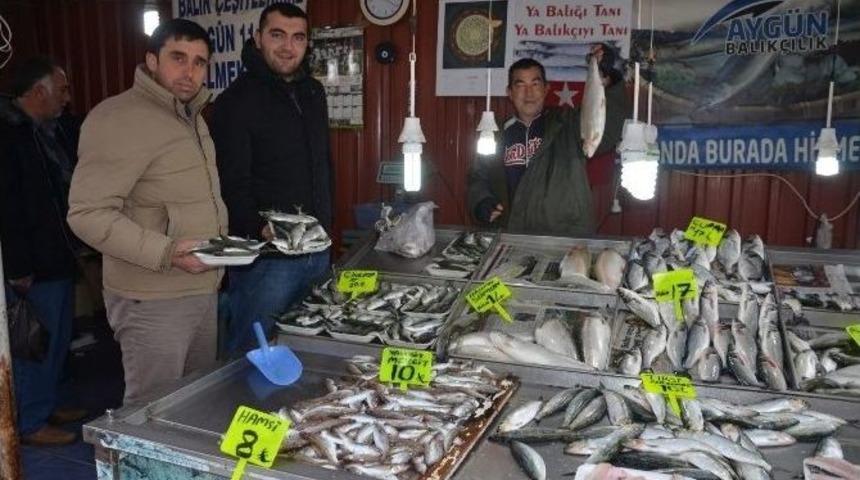 Fatsa&rsquo;da Balık Fiyatları Hareketli