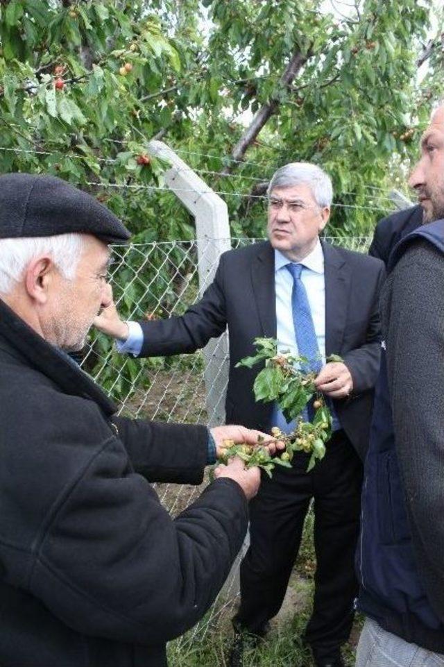 Chp’li Susamdan Tarsim’e Çağrı!