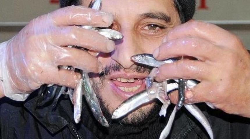 Balık&ccedil;ılar Hamsiden İstedikleri Verimi Alamadı