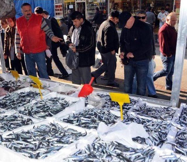 Balıkçılar Hamsiden İstedikleri Verimi Alamadı