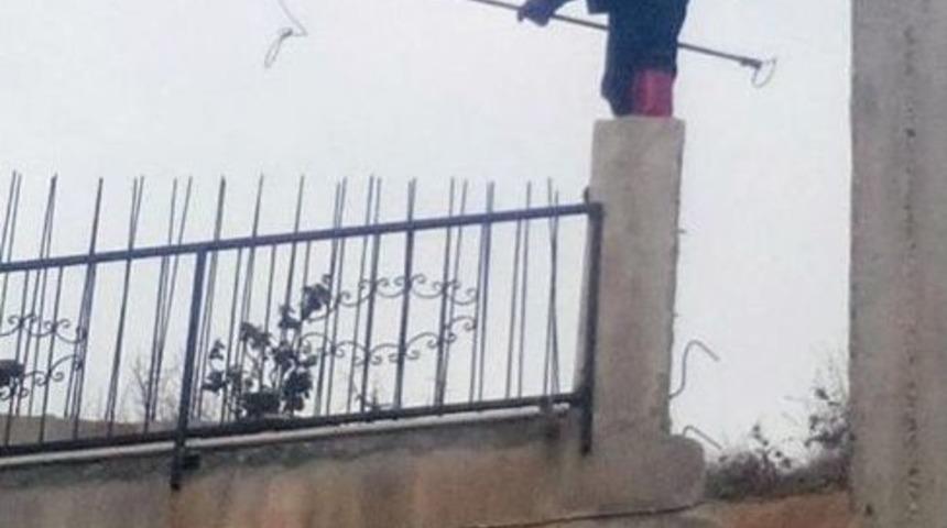 Mahsur Kalan K&ouml;pek Yavrularını İtfaiye Kurtardı