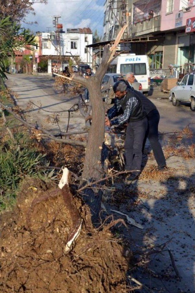 Görevli Gecikince, Devrilen Direkteki Elektriği Kendileri Kesti