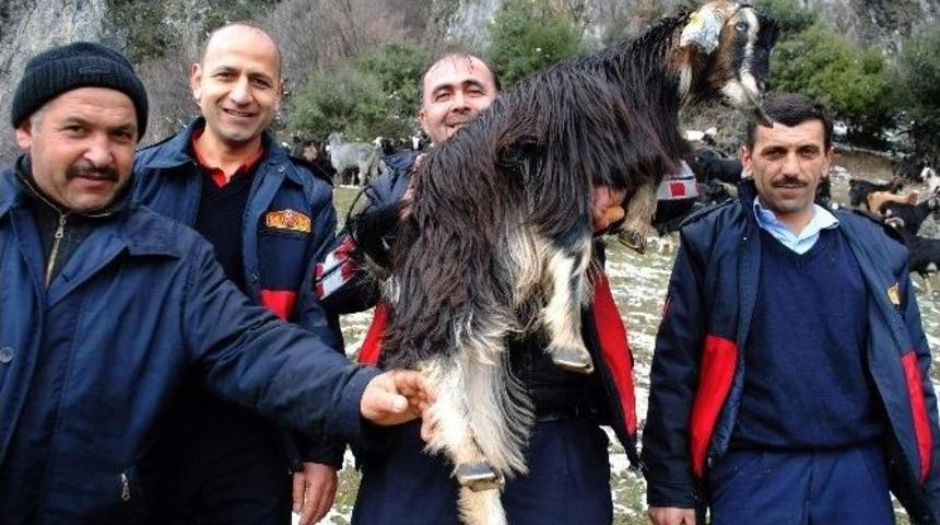 Dağda Mahsur Kalan Ke&ccedil;ileri İtfaiye Kurtardı