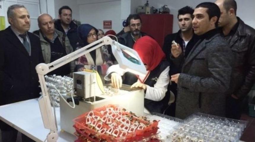Kocaeli İtfaiyesi Denetimleri Elden Bırakmıyor