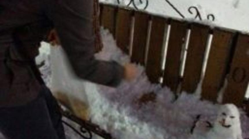 T&uuml;gva Eskişehir Şubesi Sokak Hayvanlarını Unutmadı