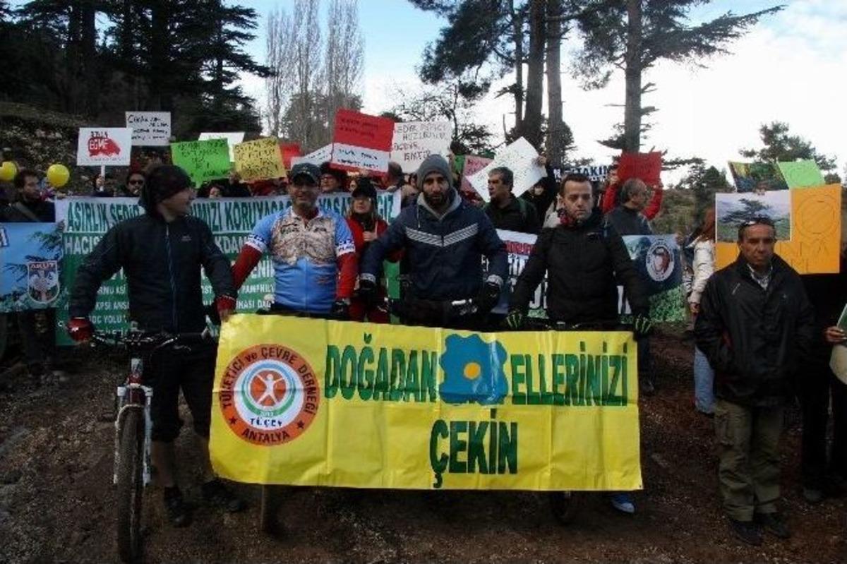 Antalya&rsquo;da 500 Kişilik &ldquo;sedir Ağacına Dokunma&rdquo; Eylemi