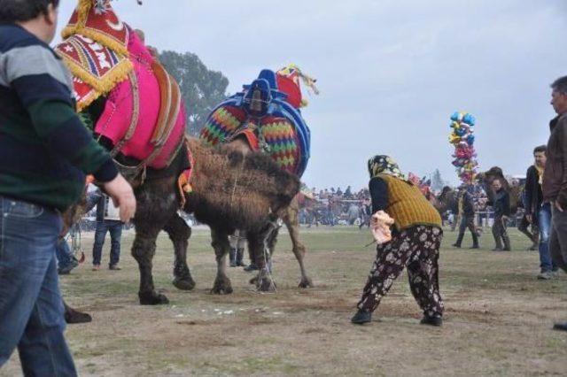 Devesi Güreşirken Heyecandan Yerinde Duramadı