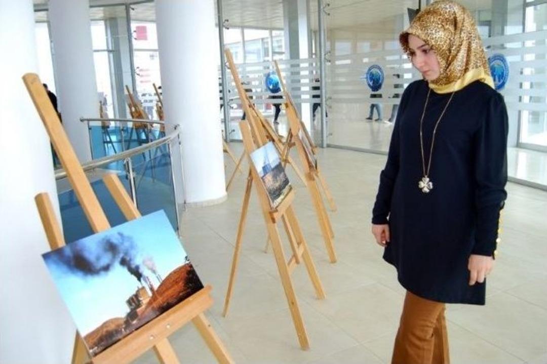 Km&uuml;&rsquo;de &Ccedil;evre Konulu Fotoğraf Sergisi