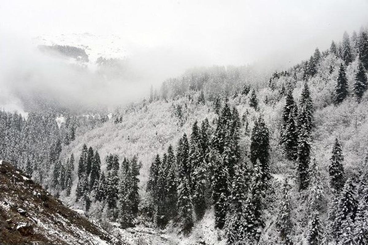 Zigana Dağı Beyaza B&uuml;r&uuml;nd&uuml;