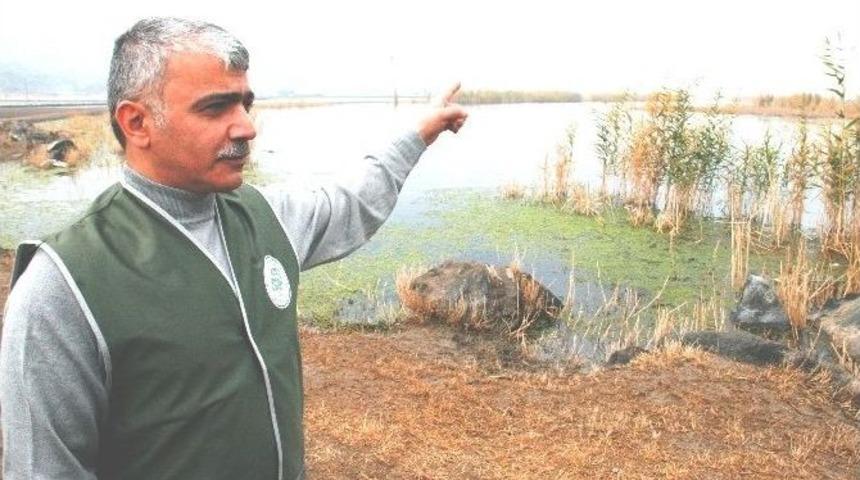 Iğdır&rsquo;da Av Yasağı Başladı