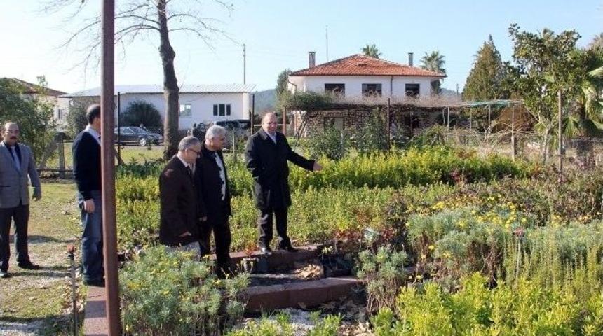 75 Bin Fidan Dağıtıldı