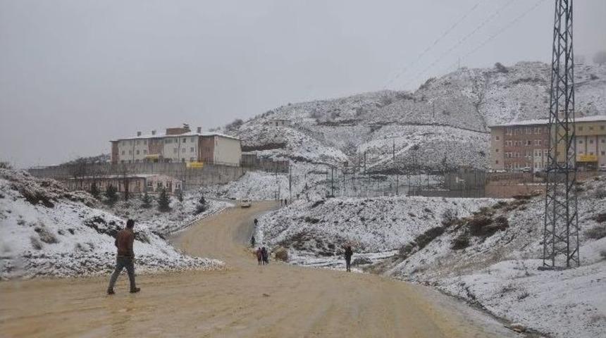 Kar Sincik&rsquo;i Beyaza B&uuml;r&uuml;d&uuml;