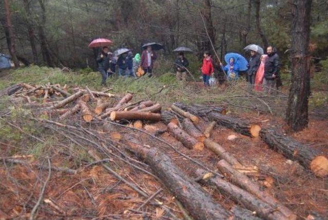 Danıştay'dan, Urla'daki Res Projesi İçin Çifte Durdurma