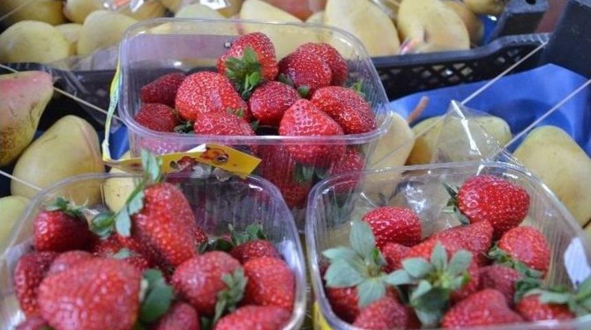 Hamilelere Kış Ortasında 12 Tl&rsquo;ye &Ccedil;ilek