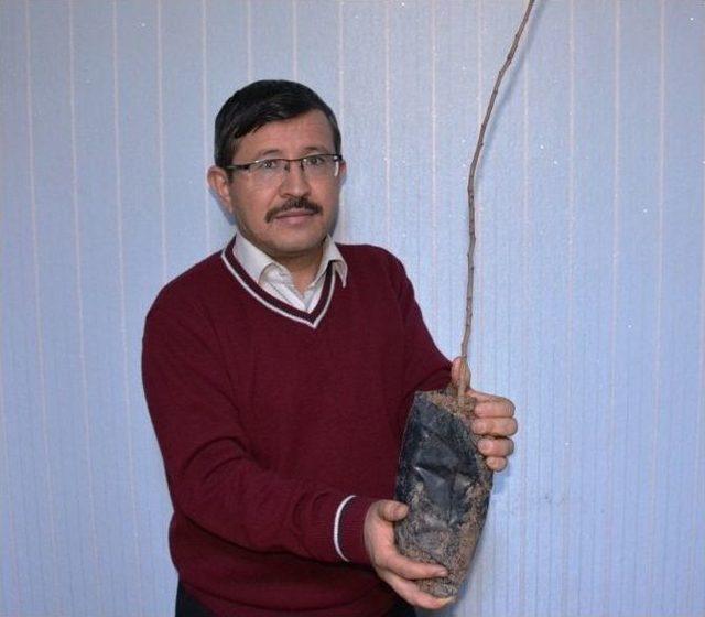 Yunusemre Belediyesinden Tarımsal Proje 1