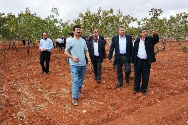 Yunusemre Belediyesinden Tarımsal Proje 2