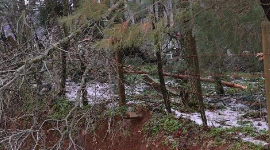 Turgutlu'da Kutupları Andıran B&uuml;y&uuml;l&uuml; G&ouml;r&uuml;nt&uuml;