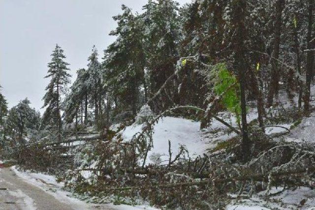 Turgutlu da Kutupları Andıran B&uuml;y&uuml;l&uuml; G&ouml;r&uuml;nt&uuml; 1