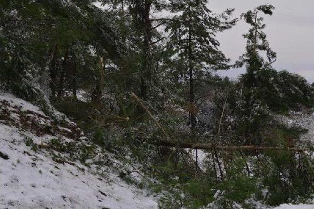 Turgutlu da Kutupları Andıran B&uuml;y&uuml;l&uuml; G&ouml;r&uuml;nt&uuml; 2