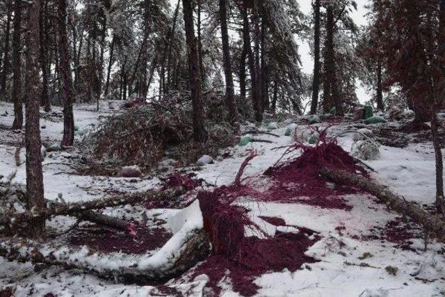 Turgutlu da Kutupları Andıran B&uuml;y&uuml;l&uuml; G&ouml;r&uuml;nt&uuml; 3