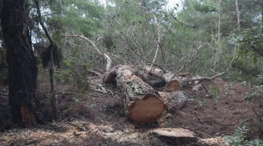Danıştay, Urla&rsquo;da Y&uuml;r&uuml;tmeyi Durdurma Kararı Verdi