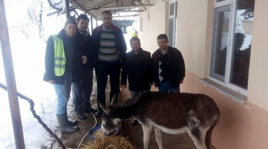 Maden İş&ccedil;ileri Karda Perişan Olan Eşeğe Sahip &Ccedil;ıktı