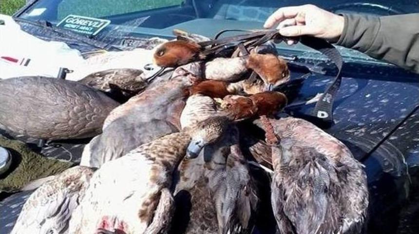 Aydın&rsquo;da Ka&ccedil;ak Avlanmaya Ge&ccedil;it Yok