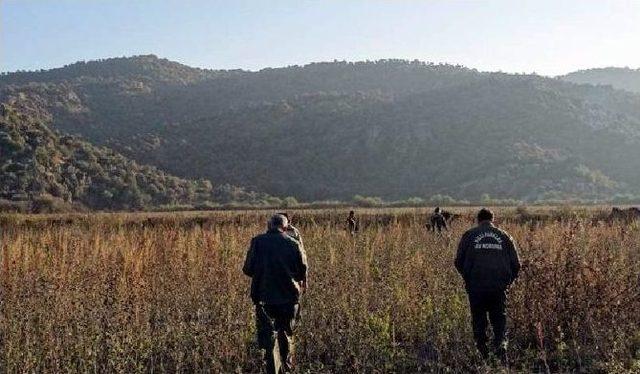 Aydın&rsquo;da Ka&ccedil;ak Avlanmaya Ge&ccedil;it Yok 1