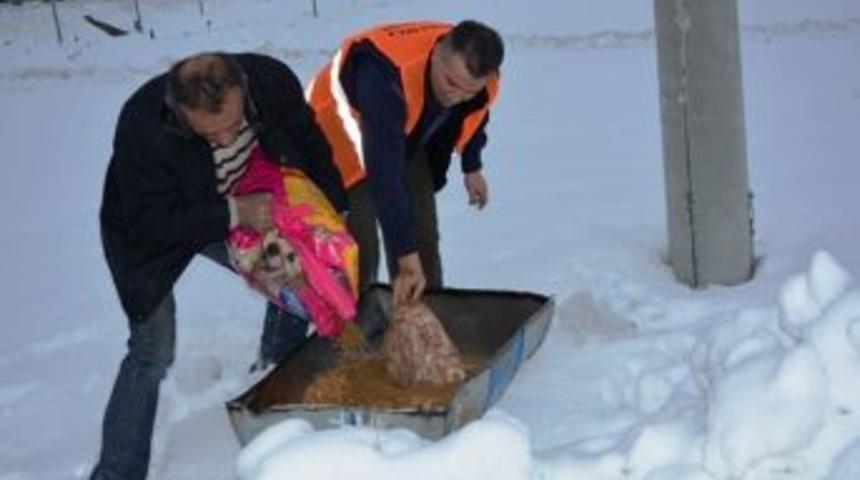 Tavşanlı Belediyesi&rsquo;nden Sokak Hayvanlarına Yiyecek