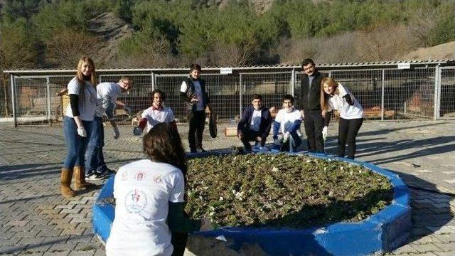 G&ouml;n&uuml;ll&uuml; Elmalar Hayvan Barınağını Boyadı 1