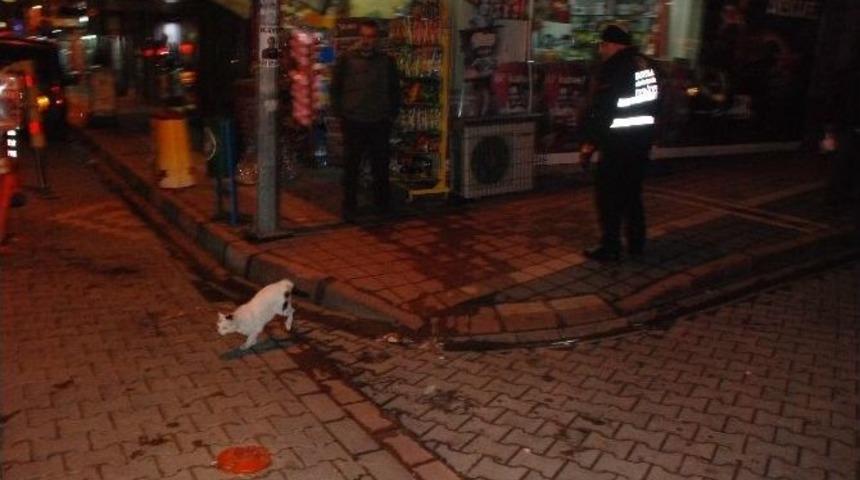 İtfaiyeden Yaramaz Kedi Operasyonu...