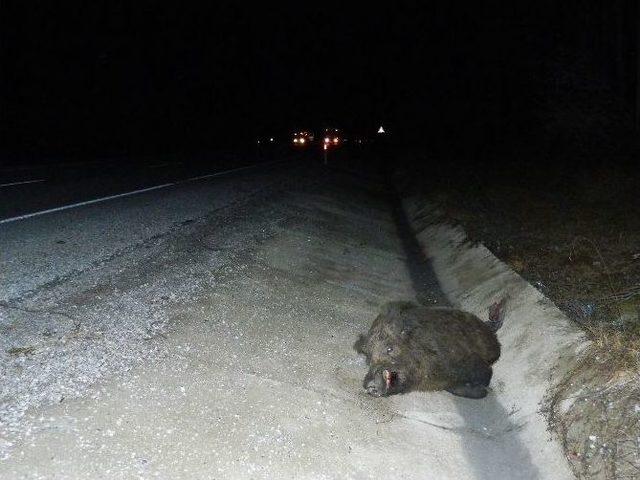 Malatya-adana Karayolunda Kaza: 5 Yaralı 1